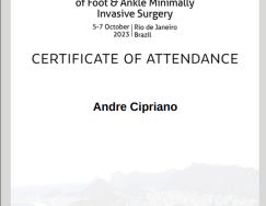 CertificateMIFAS2023-RIO-ATTENDANCE