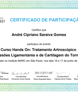 Curso Hands On: Tratamento Artroscópicodas Lesões Ligamentares e de Cartilagem do Tornozelo